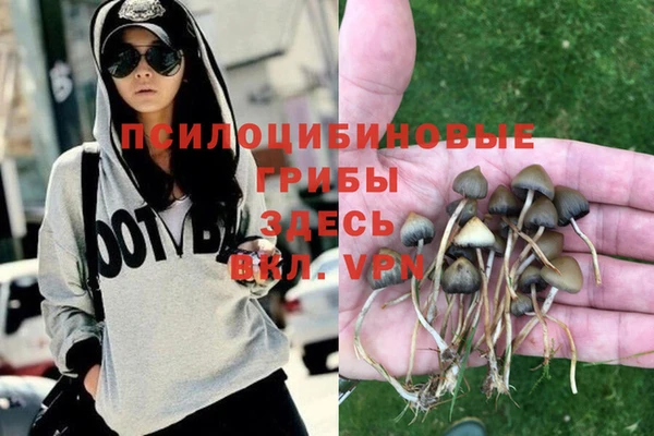 метадон Беломорск