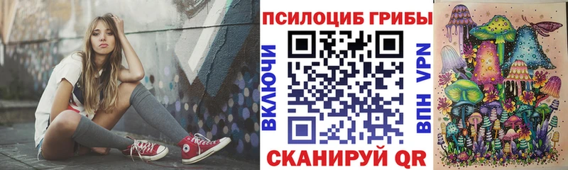 мега сайт  где купить наркотик  Ковылкино  Галлюциногенные грибы прущие грибы 